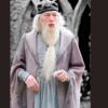 “Differences of habit and language are nothing at all if our aims are identical and our hearts are open.”— Dumbledore, Goblet of Fire