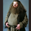 “I am what I am, and I'm not ashamed.”— Hagrid, Goblet of Fire (book)