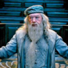  “To have been loved so deeply, even though the person who loved us is gone, will give us some protection forever.”— Dumbledore, Sorcerer’s Stone
