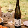 Grüner Veltliner