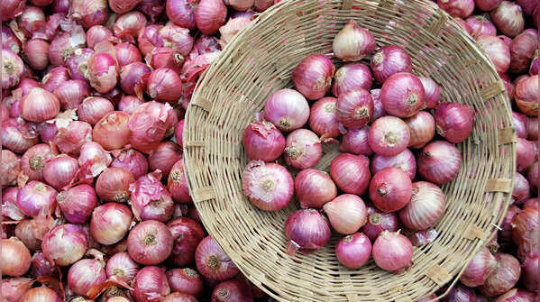 Types of onions and their culinary uses