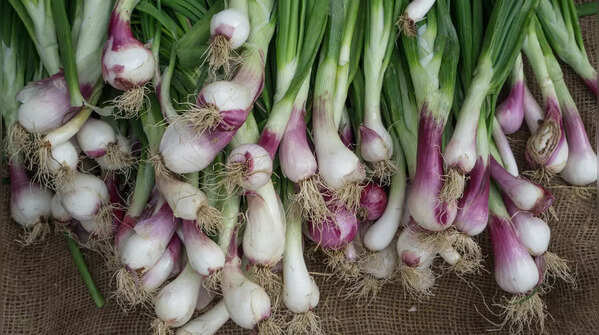 Spring Onion