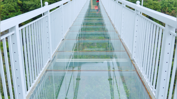 Akkulam Glass Bridge, Kerala (coming soon!)