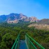 Wayanad Glass Bridge, Thollayiram Kandi, Kerala