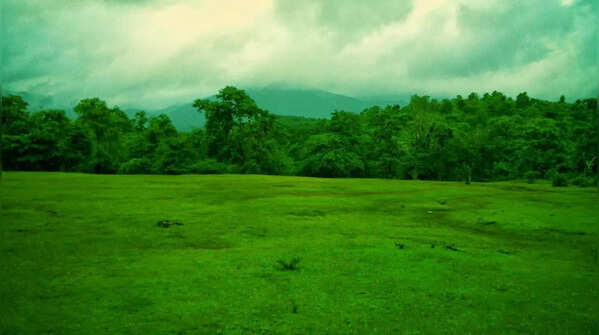 Cotigao Wildlife Sanctuary