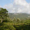 Kotagiri