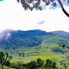 Coonoor