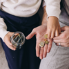 The shared-expenses-only system