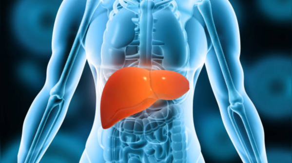 Common liver diseases to know