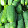 Cucumbers