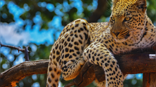 Namibia