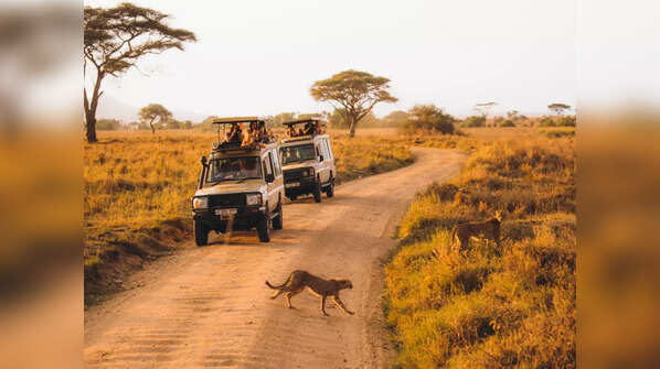 Tanzania