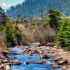 Jigme Dorji National Park