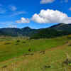 Phobjikha Valley