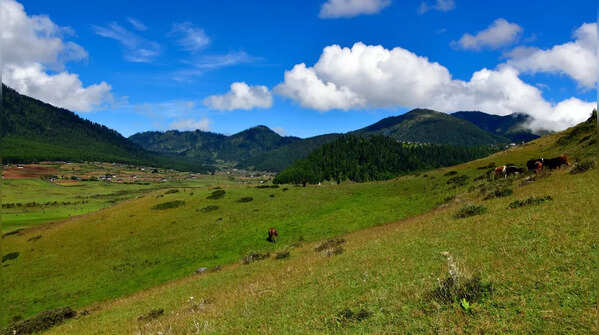 Phobjikha Valley