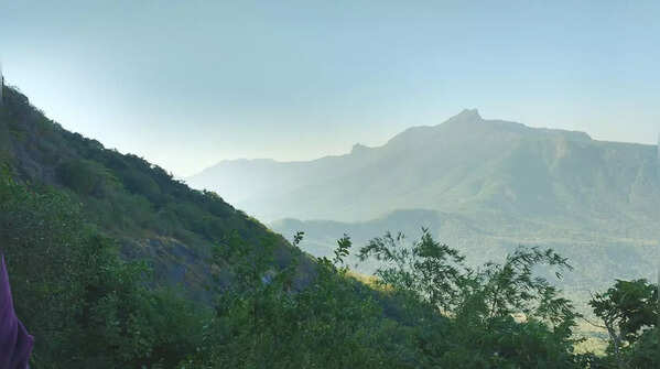 Saurashtra / Junagadh Region (Gujarat)