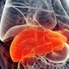How important is it to care for fatty liver?