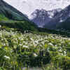 Valley of Flowers National Park, Uttarakhand