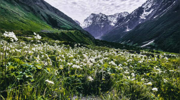 Valley of Flowers National Park, Uttarakhand