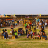 Catch the Ziro Music festival vibes