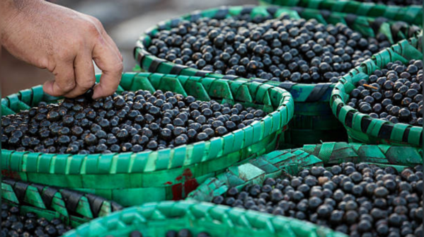 Açai (Correct: ah-sah-ee)