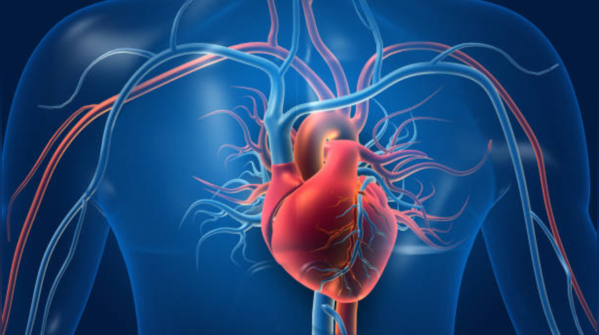 Sunlight over screen light