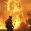 Article image for: Canyon fire claims <i class="tbold">acre</i>s of land