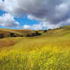 Walnut Creek, California, USA