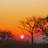 Madhai Gate Sunrise