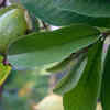 Soothes & protects
