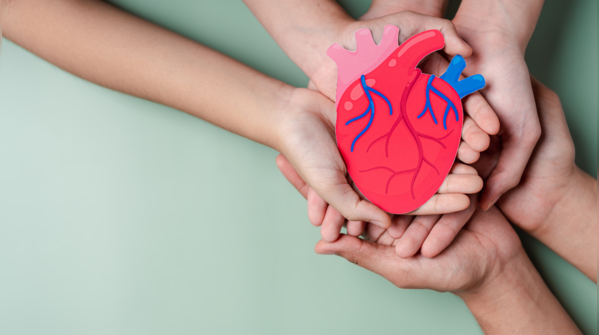 Foods that support heart health