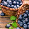 Support brain health and memory