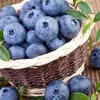 May help with weight management