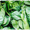 Spinach
