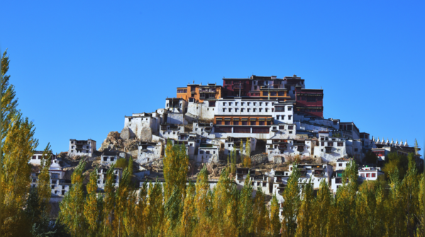Thiksey Monastery, Leh