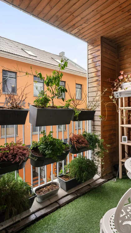 How to Design Vertical Garden: Transform Your Space