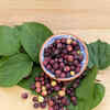 Ber (Indian Jujube)