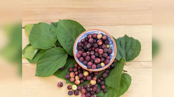 Ber (Indian Jujube)