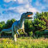Where prehistoric echoes still roam