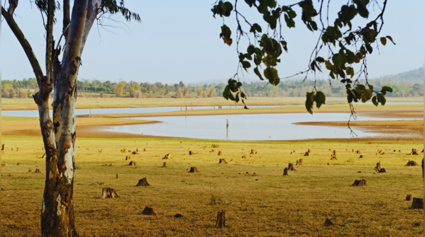 Nagarhole Forest Viewpoint, Kodagu