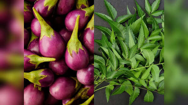 What is Neem Begun?