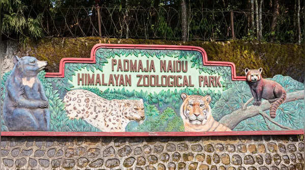 Padmaja Naidu Himalayan Zoological Park