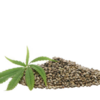 Hemp seeds