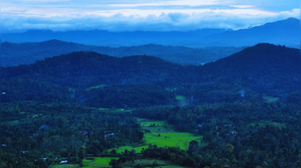 Coorg – Kannur International Airport (95 km)