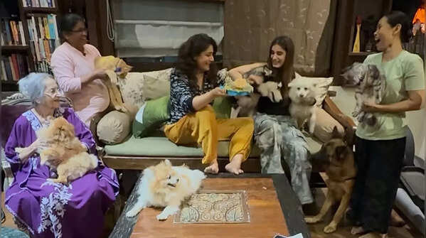 Family pet gathering