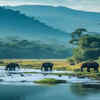 Periyar national park