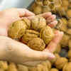 Walnuts contain antioxidants