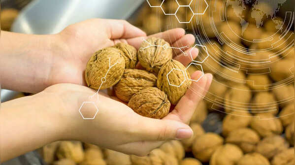 Walnuts contain antioxidants