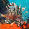 Scorpionfish
