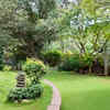 The view and garden